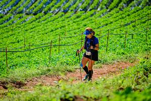 BIB: 
                            <button type="button" onclick="openModal(19163458)" class="btn btn-primary btn-sm float-right btn-popup" data-toggle="modal" data-target=".modal-high-quality">
                        <i class="fas fa-shopping-cart"></i> Add to Cart
                    </button>
                                            <button type="button" onclick="isThisMe(19163458, true)" class="btn btn-success btn-sm float-right btn-popup btn-isme hidden" data-toggle="tooltip" data-placement="bottom" title="นี่คือรูปของคุณใช่ไหม คลิกที่นี่เพื่อเอาเข้าอัลบั้ม">
                        <i class="fas fa-plus"></i> Add to album
                    </button>
                    <button type="button" onclick="isThisMe(19163458, false)" class="btn btn-warning btn-sm float-right btn-popup btn-isnotme hidden">
                        <i class="fas fa-ban"></i> Remove from album
                    </button>